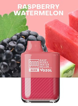 VOZOL Alien 3000 Puffs Einweg Vape